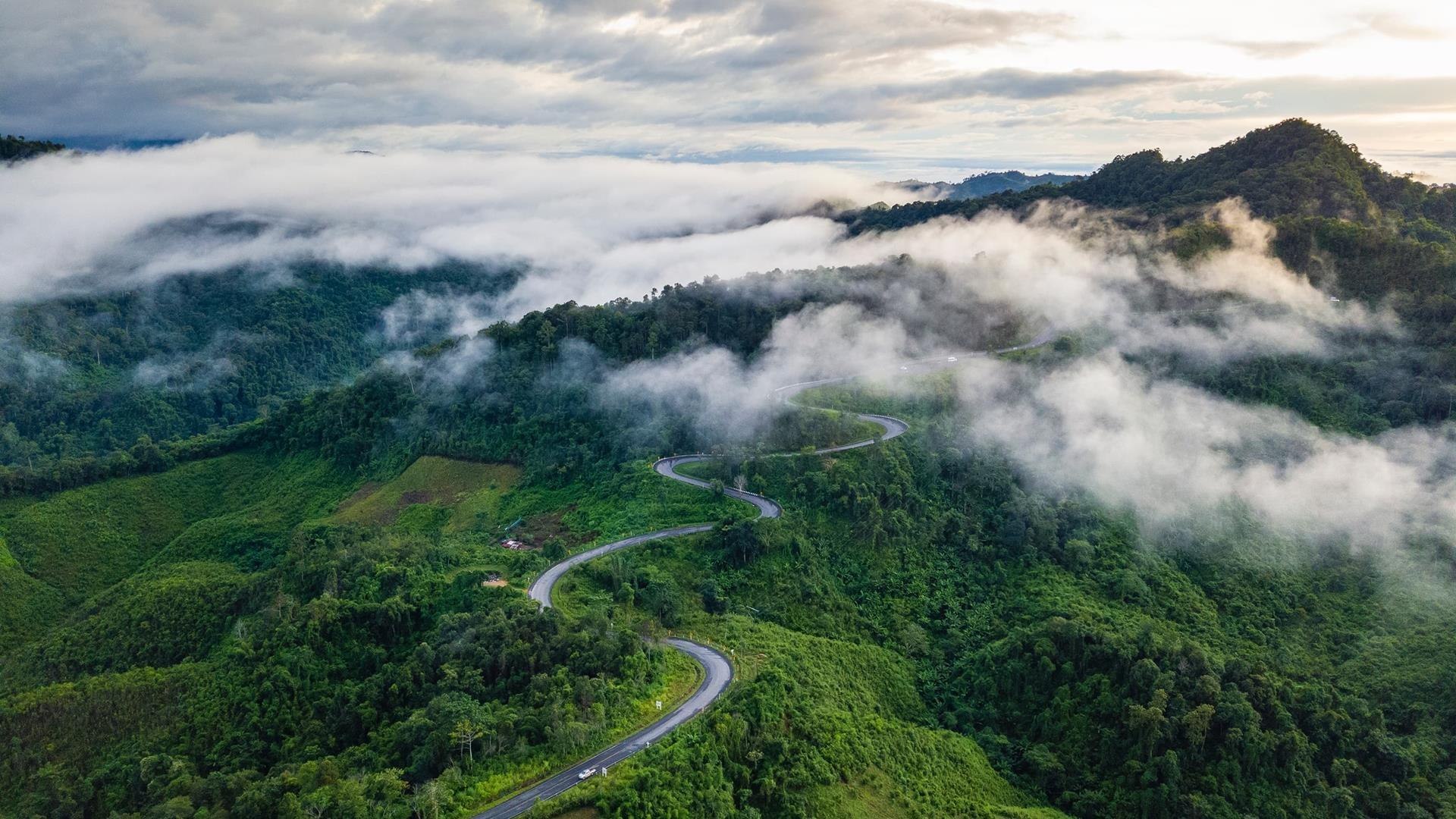 Aerial view of a winding mountain road cutting through misty green hills at dawn