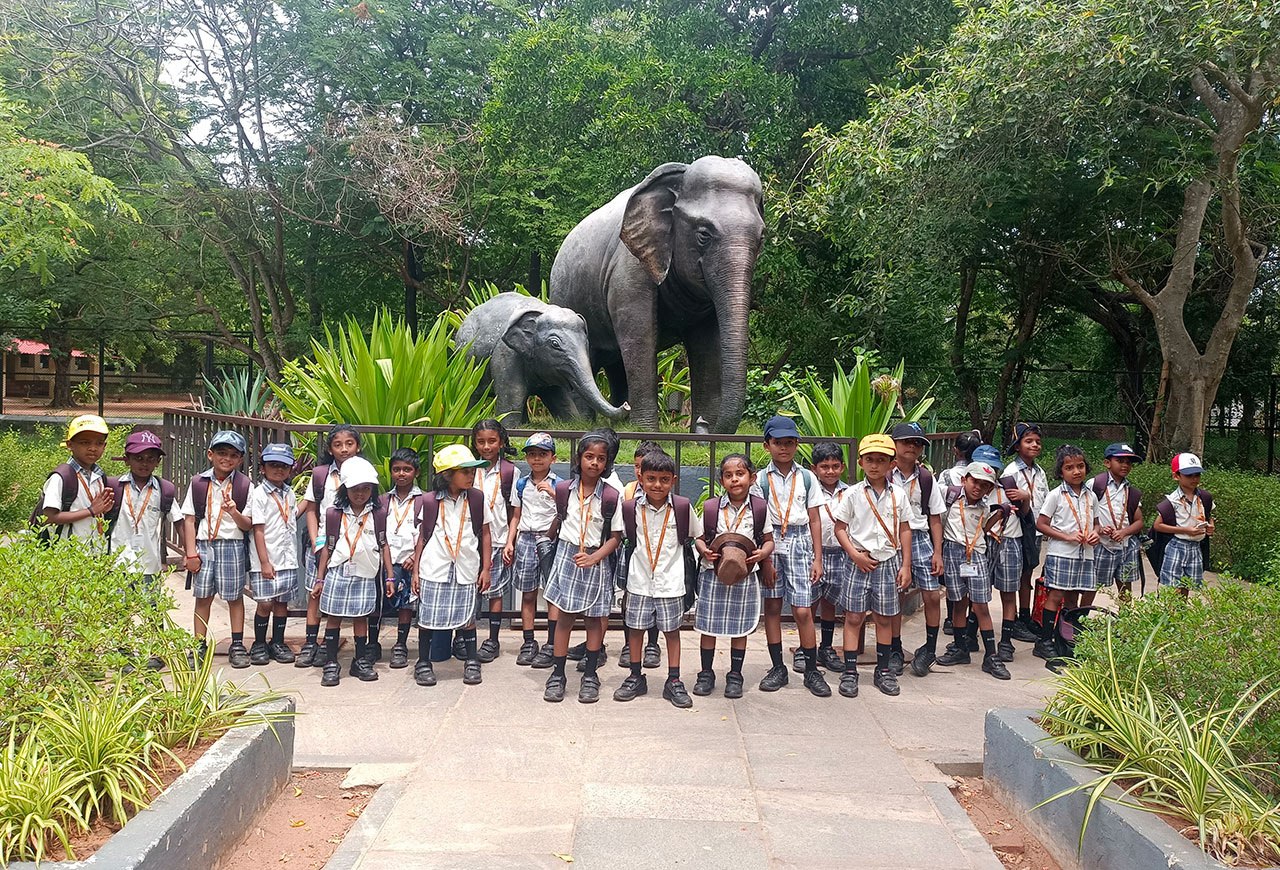 School Educational Trips